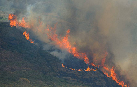 Como a Amazônia chegou a 30.901 focos de incêndio