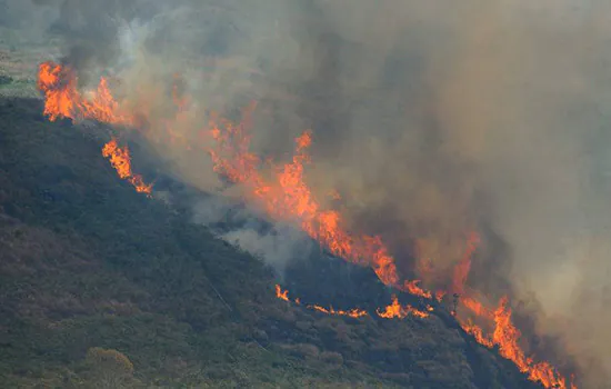 Fogo não é comum na Amazônia e não pode ser visto como aumento pequeno