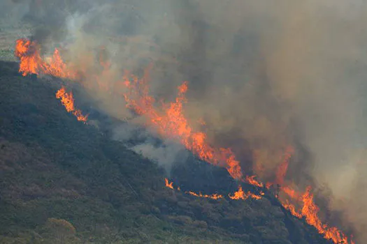 Ibama autoriza contratação de brigadas federais para combater incêndios