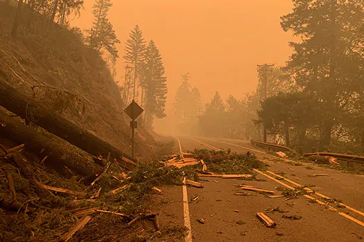 Costa Oeste dos EUA: incêndios deixam pelo menos 15 mortos