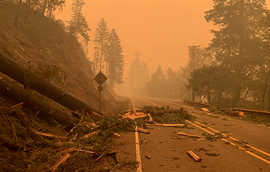 Costa Oeste dos EUA: incêndios deixam pelo menos 15 mortos