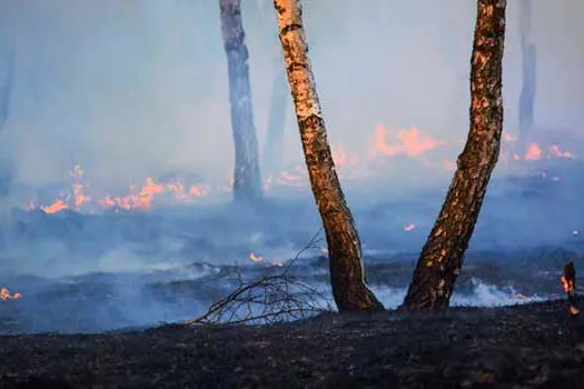 Passivo ambiental de empresas se torna fator de risco e afasta investidor