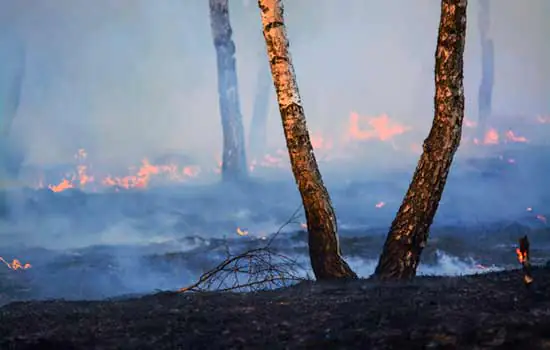 Passivo ambiental de empresas se torna fator de risco e afasta investidor