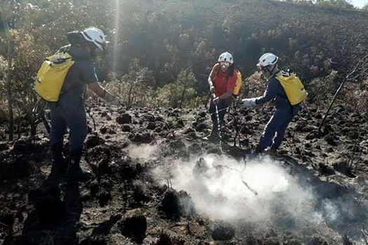 Inverno mais seco em 2021 favorece o aumento de incêndios florestais em São Paulo