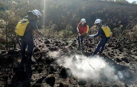 Inverno mais seco em 2021 favorece o aumento de incêndios florestais em São Paulo