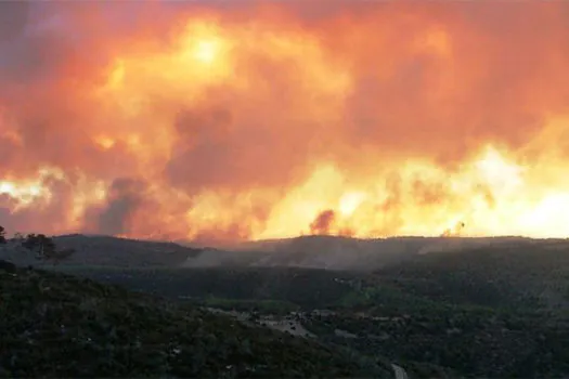 Exército admite erro em incêndio em Israel