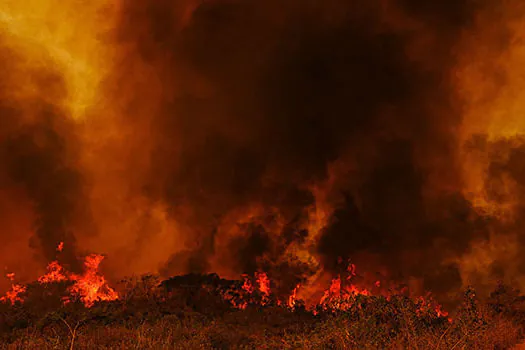 Incêndios levam Mato Grosso do Sul a decretar situação de emergência