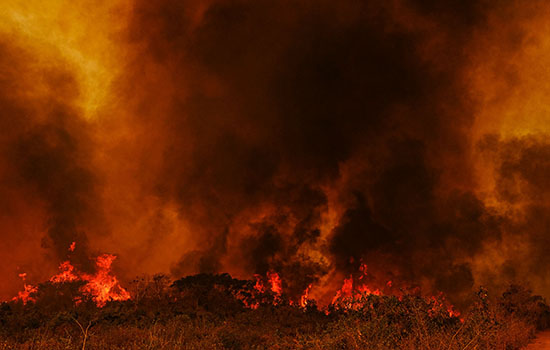 Incêndios levam Mato Grosso do Sul a decretar situação de emergência