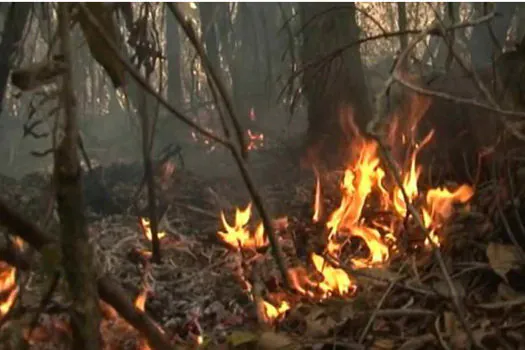 Incêndio destrói matas e ameaça aldeias pataxós em parque nacional da Bahia