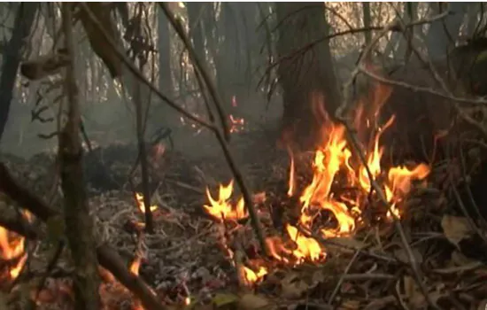 Incêndio destrói matas e ameaça aldeias pataxós em parque nacional da Bahia