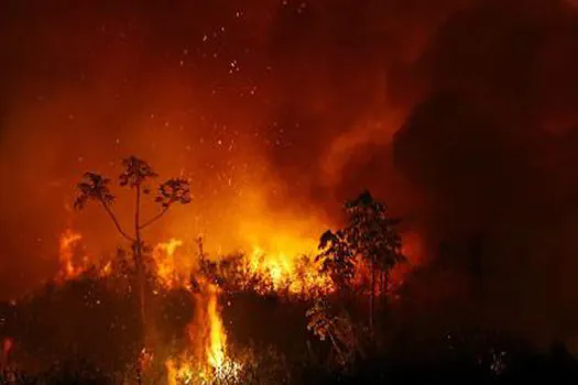 Fogo engole 64,8% do Parque Estadual Encontro das Águas em MT