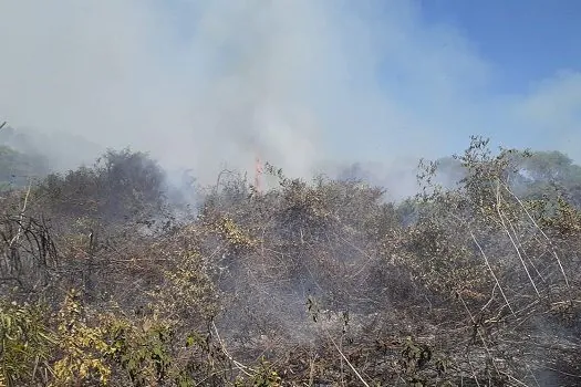 Governo federal reconhece emergência em cidades de Mato Grosso do Sul