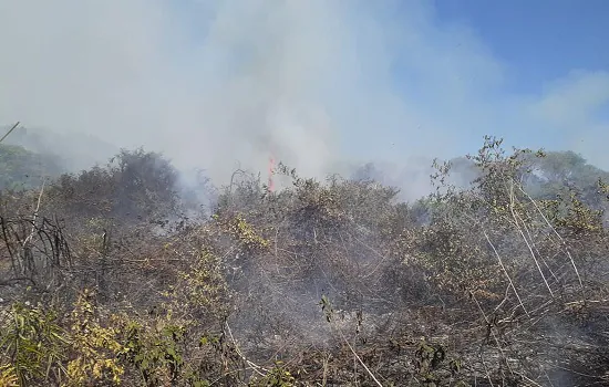 Governo federal reconhece emergência em cidades de Mato Grosso do Sul