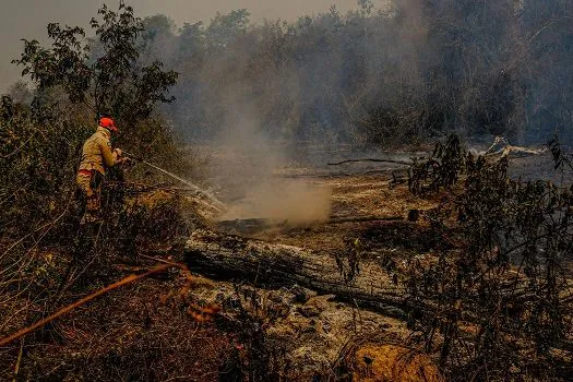 Incêndios no Pantanal motivam estado de emergência em 14 cidades no MS