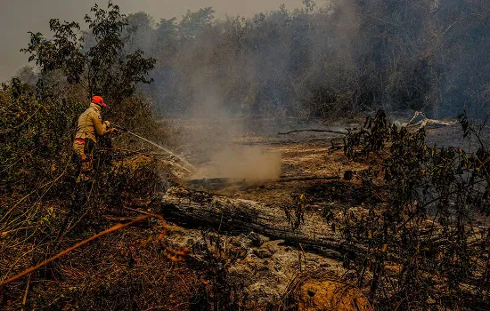 Incêndios no Pantanal motivam estado de emergência em 14 cidades no MS