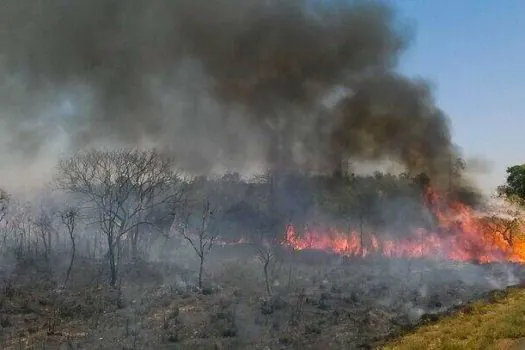 Ocorrências de incêndios às margens das rodovias têm queda de 61%