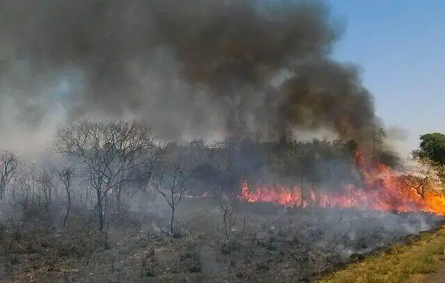 Ocorrências de incêndios às margens das rodovias têm queda de 61%