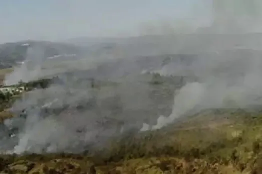 Queda de balão causa incêndio no Parque Estadual do Juquery_x000D_