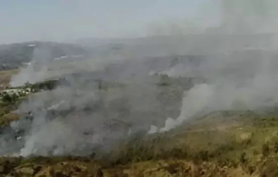 Queda de balão causa incêndio no Parque Estadual do Juquery_x000D_