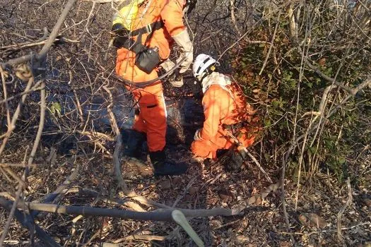 Amazonas têm 1.664 focos de fogo e Ibama manda reforço de brigadistas