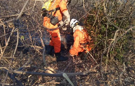 Força Nacional combaterá incêndios florestais e queimadas no Amazonas