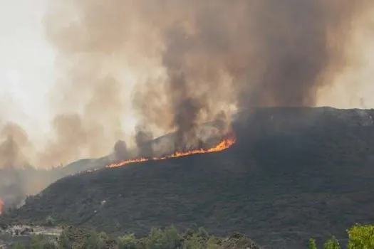 Grécia controla incêndios florestais, mas alertas de novos focos continuam