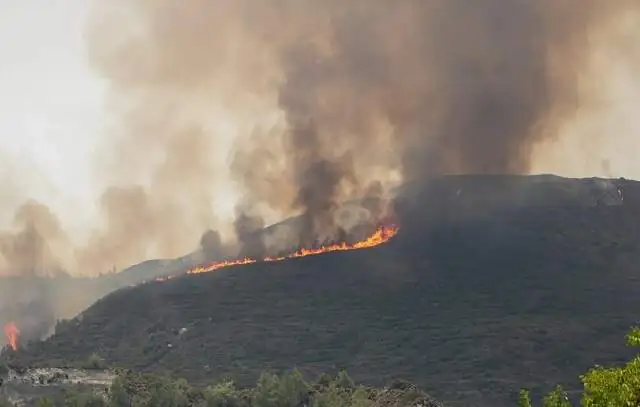 Grécia controla incêndios florestais