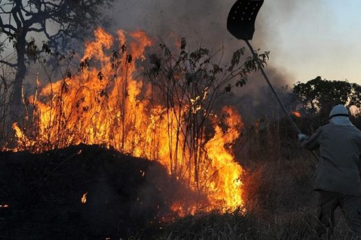 Metodologia com IA identifica focos de incêndio com antecedência