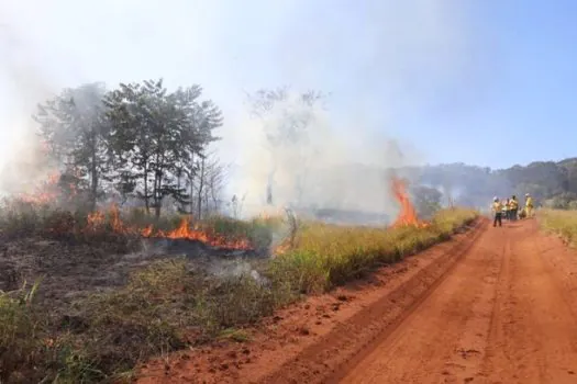 SP Sem Fogo: inverno mais seco favorece o aumento de ocorrências de incêndios