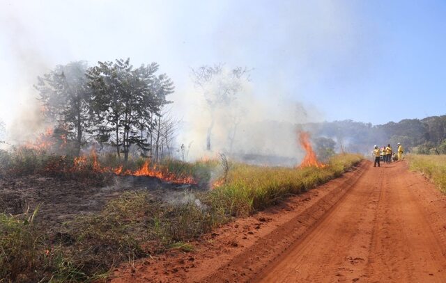 SP Sem Fogo: inverno mais seco favorece o aumento de ocorrências de incêndios