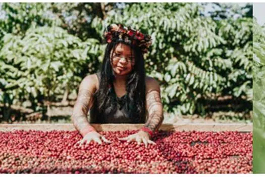 Grupo 3corações lança projeto Tribos, que une indígena, floresta e produção de café