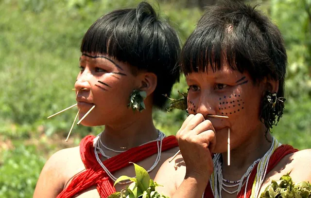 Militares vão distribuir mais de 12 mil cestas básicas aos Yanomami