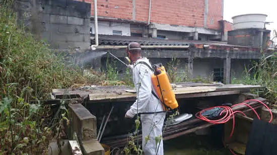 Ribeirão Pires combate infestação de lagarta de fogo no Jardim Caçula