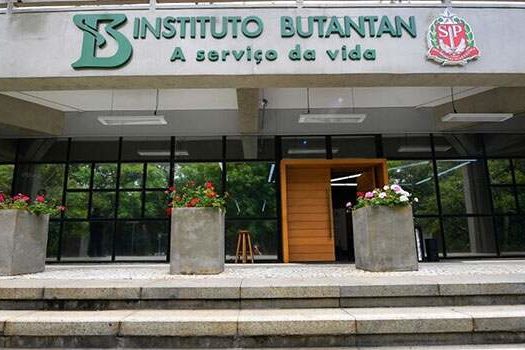 Instituto Butantan detecta 36 variantes do coronavírus em circulação no Estado de SP
