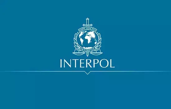 Interpol no Brasil bate marca de 60 prisões em 2021