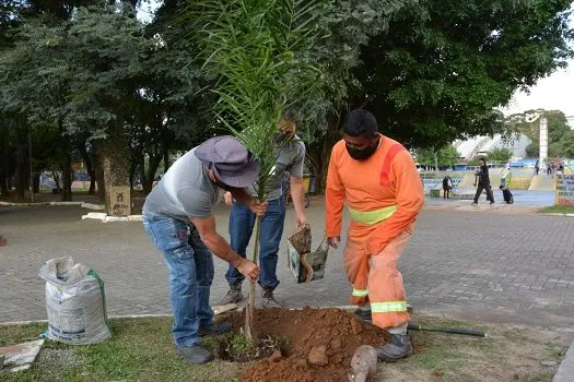 Prefeitura de Mauá inicia intervenções no Parque da Juventude