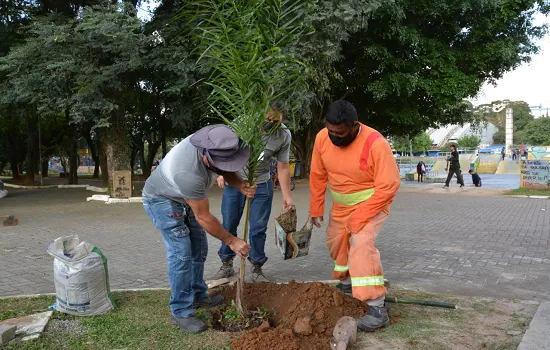 Prefeitura de Mauá inicia intervenções no Parque da Juventude