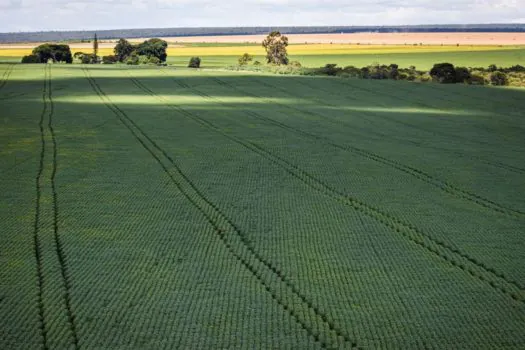 Ipea reduz previsão de PIB agropecuário de 2022 do país para 1%