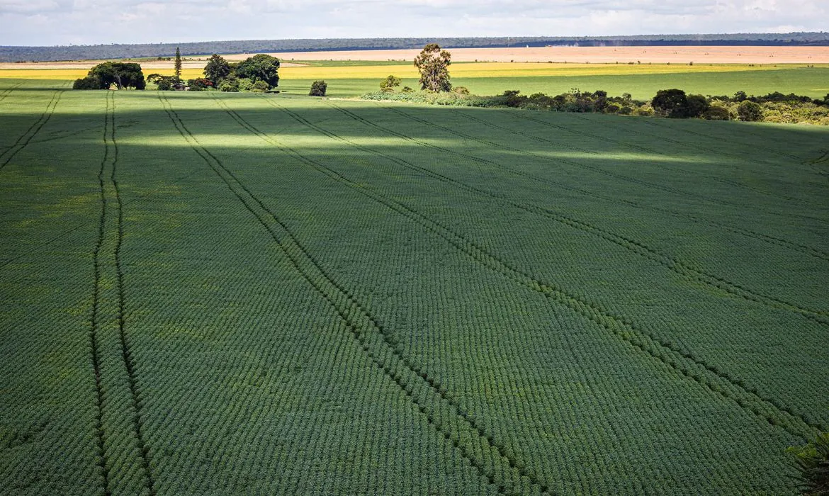 Ipea reduz previsão de PIB agropecuário de 2022 do país para 1%