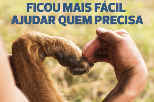 Contribuição voluntária em boleto do IPTU ajuda a causa animal em Santo André