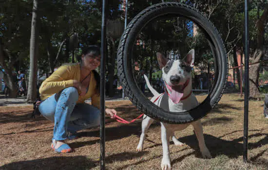 Doação feita por munícipes junto com o IPTU de 2020 será utilizada em prol da causa animal