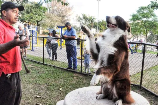 Santo André participa da campanha Janeiro Branco Pet