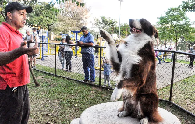 Santo André participa da campanha Janeiro Branco Pet