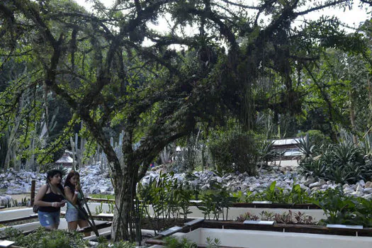 Jardim Botânico do Rio de Janeiro realiza a Semana do Bioma Pampa