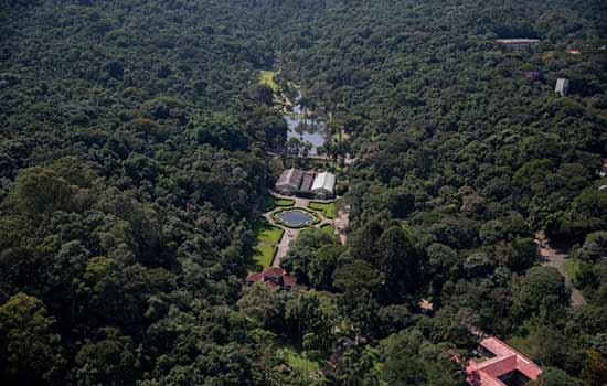 Jardim botânico retoma horário normal de visitação a partir deste sábado (29)