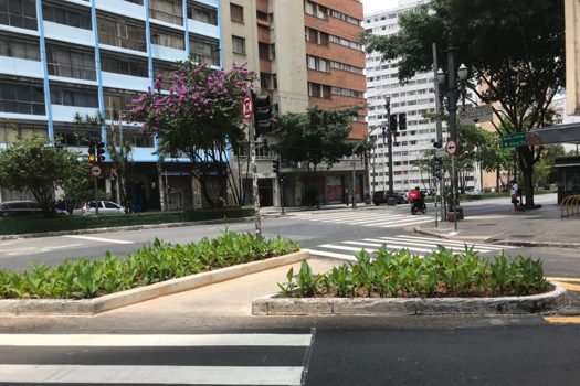 Cidade de SP terá 400 jardins de chuva até 2024 para reduzir alagamentos