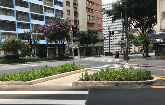 Cidade de SP terá 400 jardins de chuva até 2024 para reduzir alagamentos