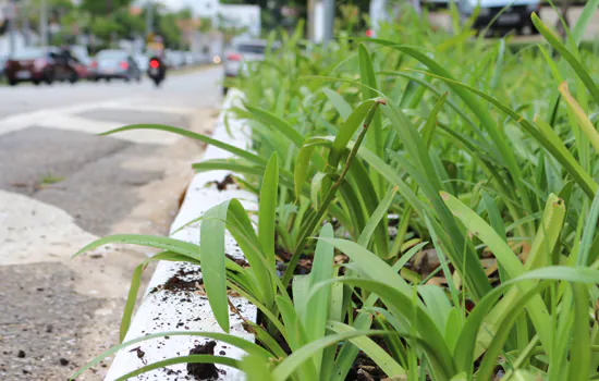 Projeto de jardins de chuva da CPTM conquista segundo lugar em prêmio Melhores Práticas