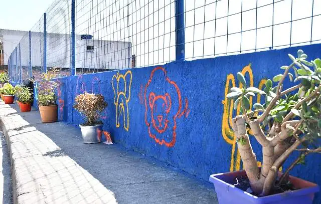 Programa Ponto Limpo transforma área degradada no Jardim Santo André