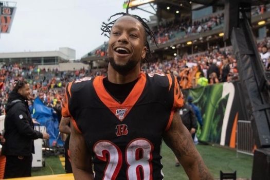 Joe Nixon, do Cincinnati Bengals, é acusado de ameaçar uma mulher com uma arma